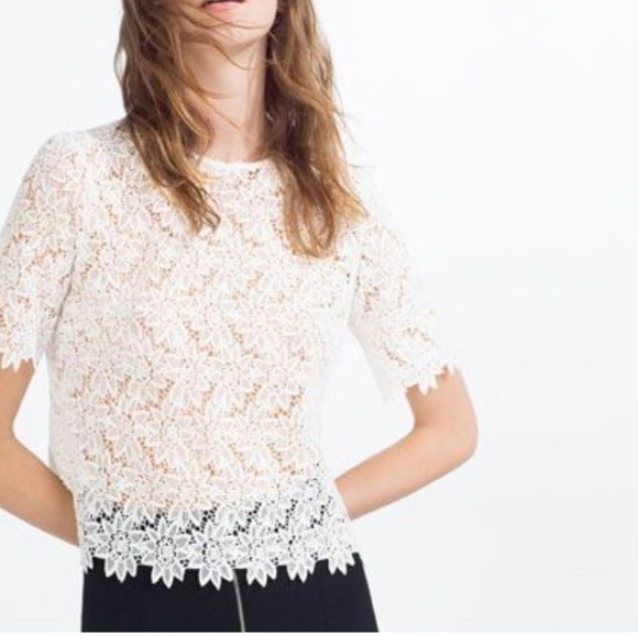 Zara White Lace Top - Picture 10 of 10
